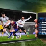 Best Cricket Betting App