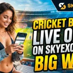 Cricket Betting Guide 2026 – skyexchange Insights for Fans